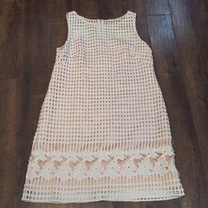 Eliza J Lace Shift Dress